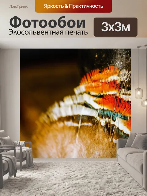 Фотообои Перья