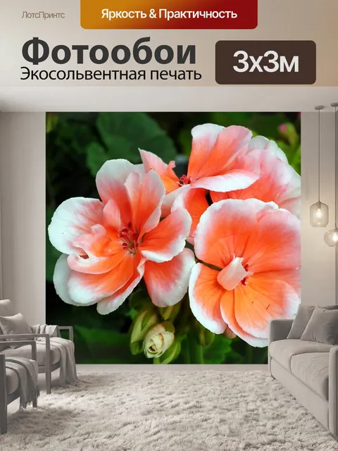 Фотообои Герань