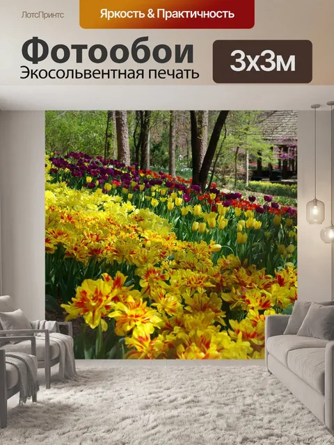 Фотообои Арканзас