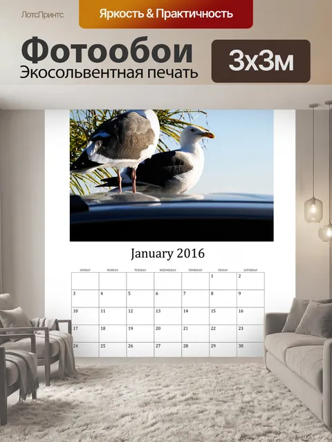 Фотообои Январь 2016 Календарь птиц