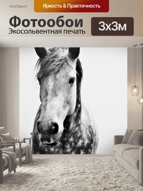 Фотообои Огненно лошадь, черный и белый