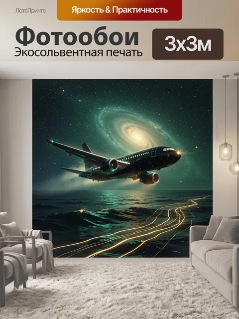 Фотообои Чёрный реактивный пассажирский самолёт