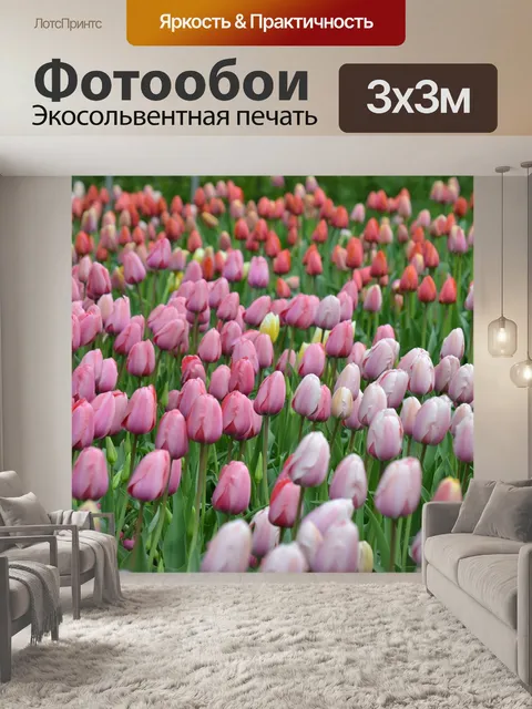 Фотообои Тюльпаны