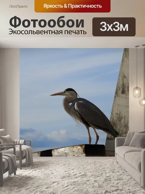 Фотообои Птица