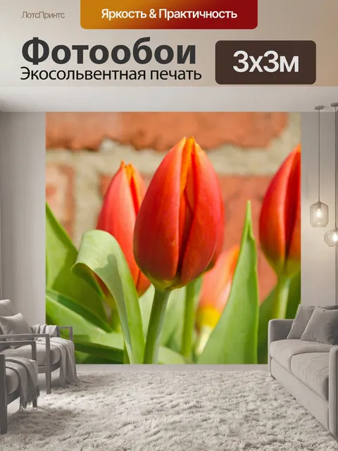 Фотообои Цветок