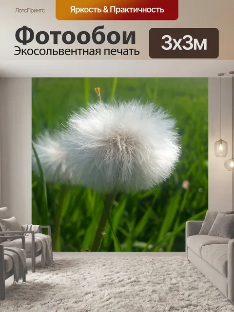 Фотообои Пушистые одуванчики