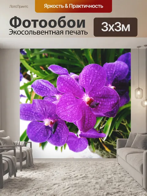 Фотообои Цветочный садик