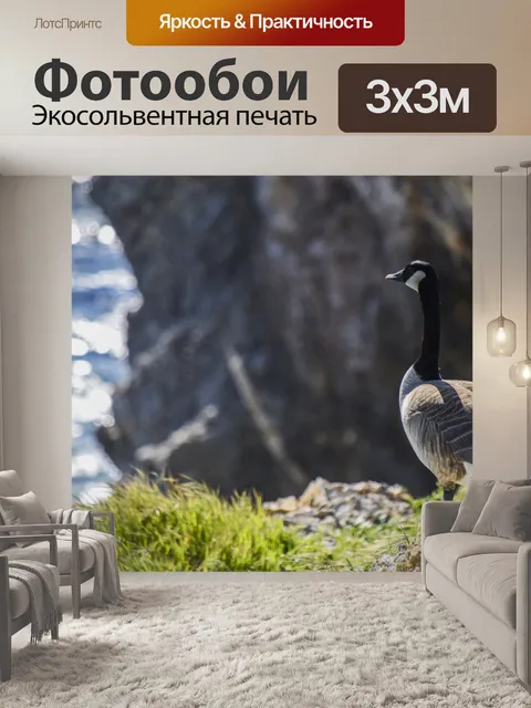 Фотообои Канада гусь с видом на море