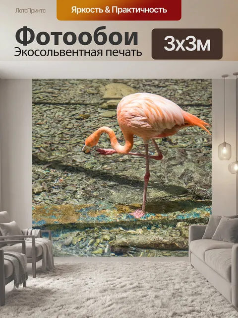 Фотообои Фламинго