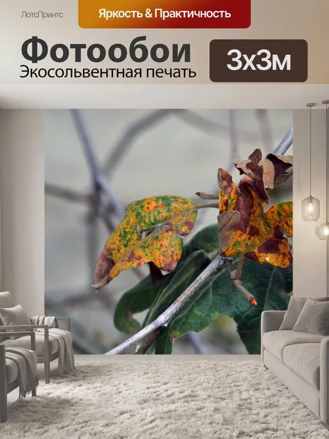 Фотообои Осенние листья