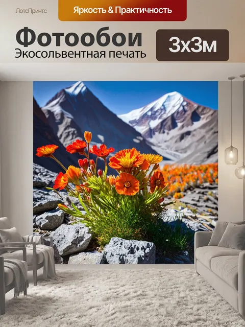 Фотообои алые и оранжевые горные цветы, прорывающиеся сквозь серые камни кавказа, на фоне величественного эльбруса