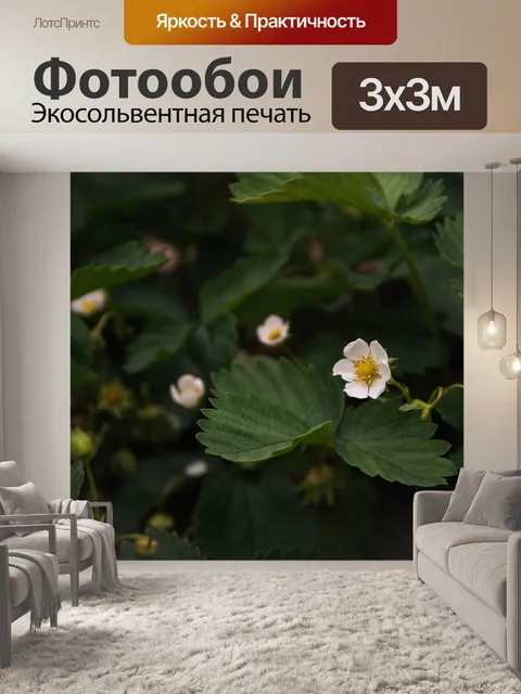 Фотообои Клубника