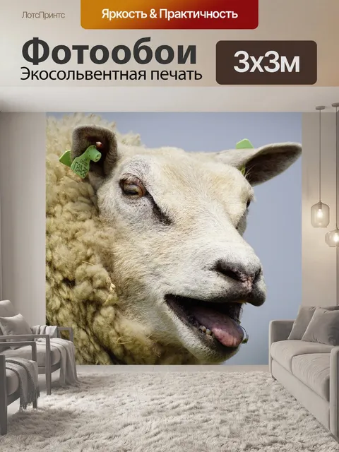 Фотообои Овец