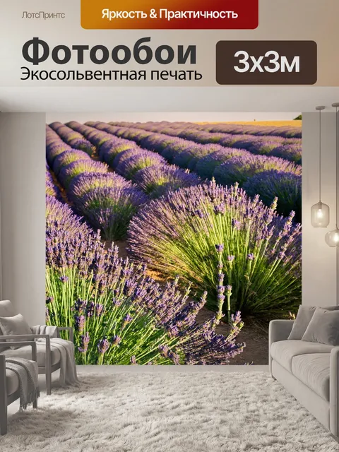 Фотообои утро, лавандовое поле с нежными розами, утренний свет создает уют и гармонию, вдыхая аромат природы