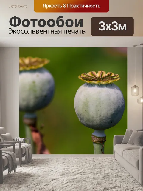 Фотообои Маковые капсулы
