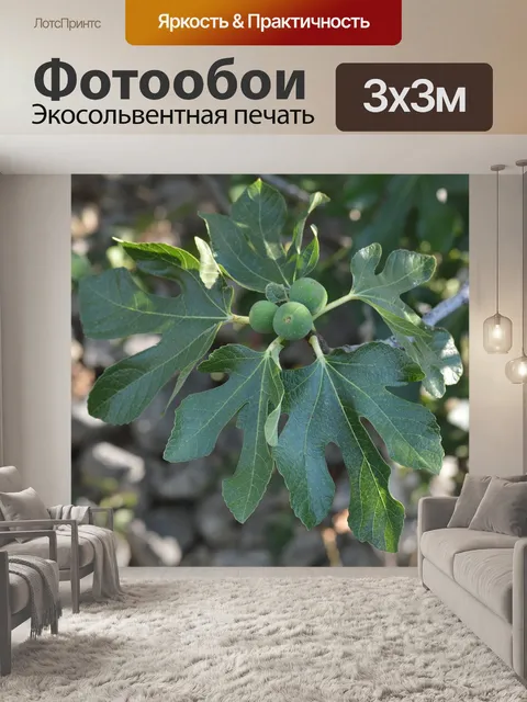 Фотообои Дерево
