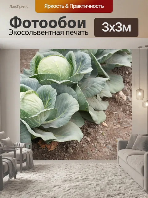 Фотообои Фрукты и овощи