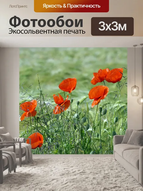 Фотообои Маков поле цветет природа
