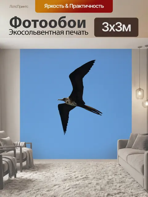 Фотообои Фрегат