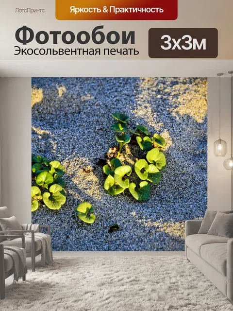 Фотообои Пляж суккулентов