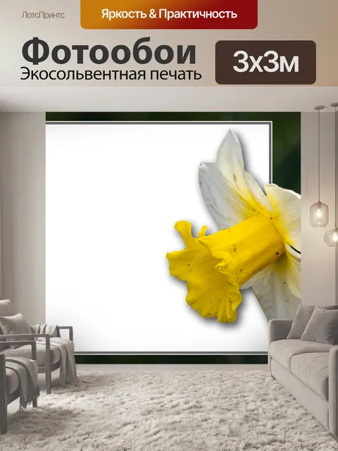 Фотообои Нарцисс, рамка, рамка