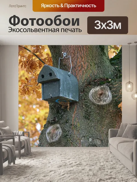 Фотообои Птичий домик