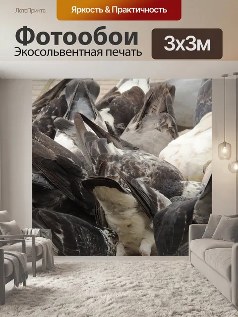 Фотообои Голуби