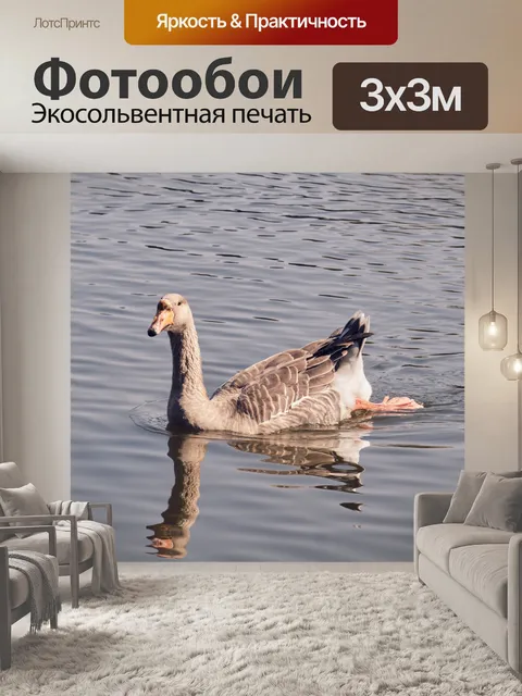 Фотообои Гусь на воде