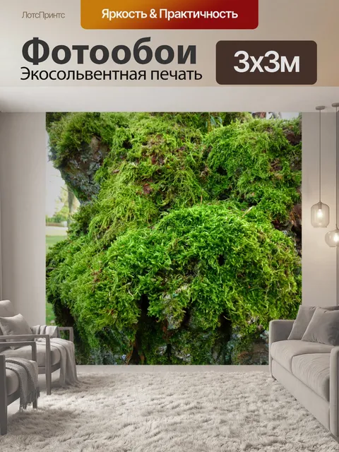 Фотообои Фон