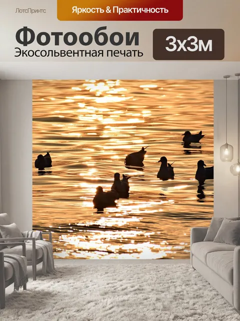 Фотообои Птицы