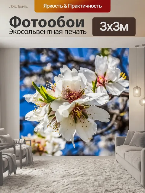 Фотообои Миндальное дерево