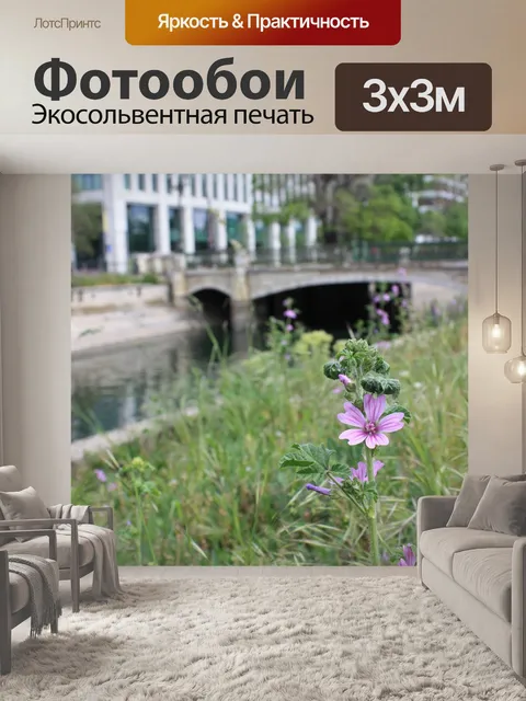 Фотообои Бухарест