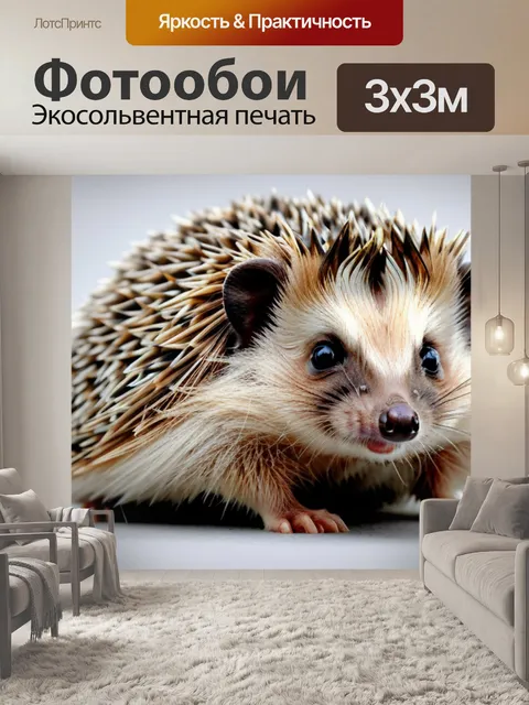 Фотообои с ежиком