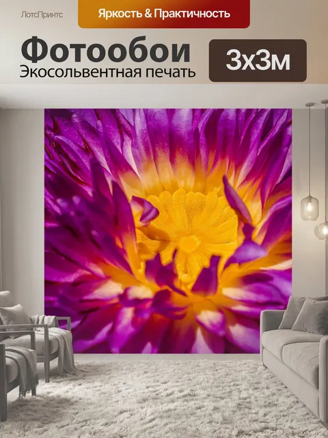 Фотообои Красивый цветок лотоса кувшинки