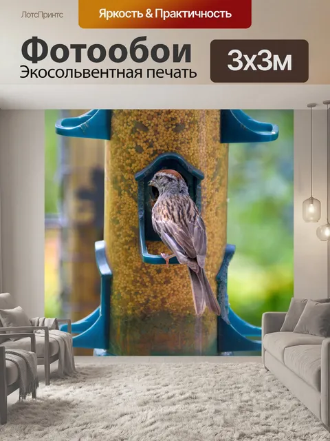 Фотообои Воробей у кормушки для птиц