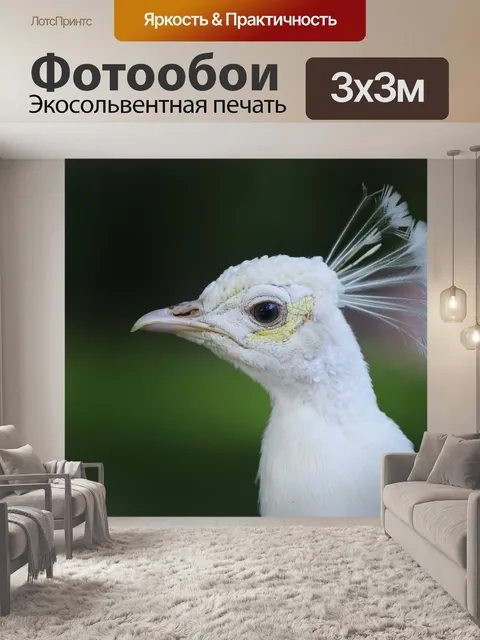 Фотообои Павлин