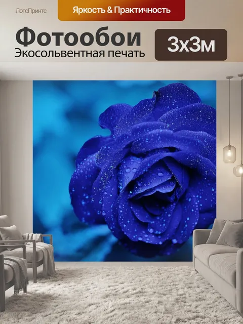 Фотообои Роза