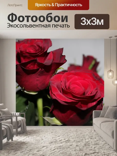 Фотообои Красная роза