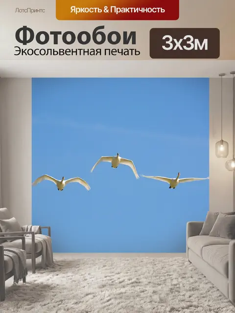 Фотообои Летящие лебеди