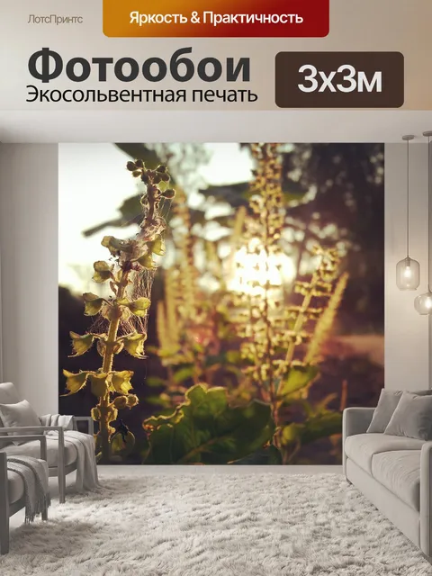 Фотообои Дерево
