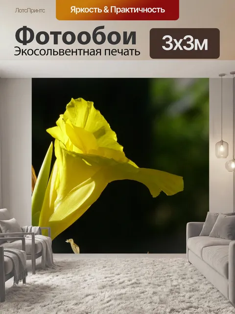 Фотообои Ярко-Желтые Канны