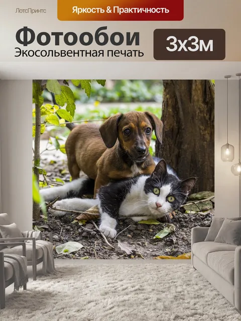 Фотообои Собака
