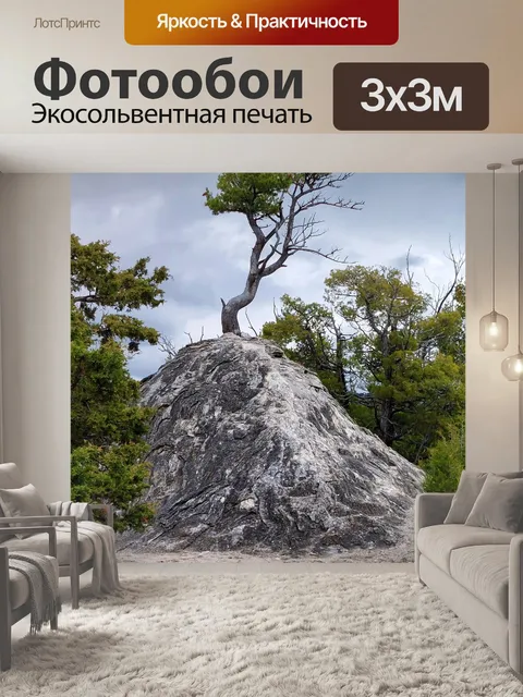 Фотообои дерево, растущее из скалы