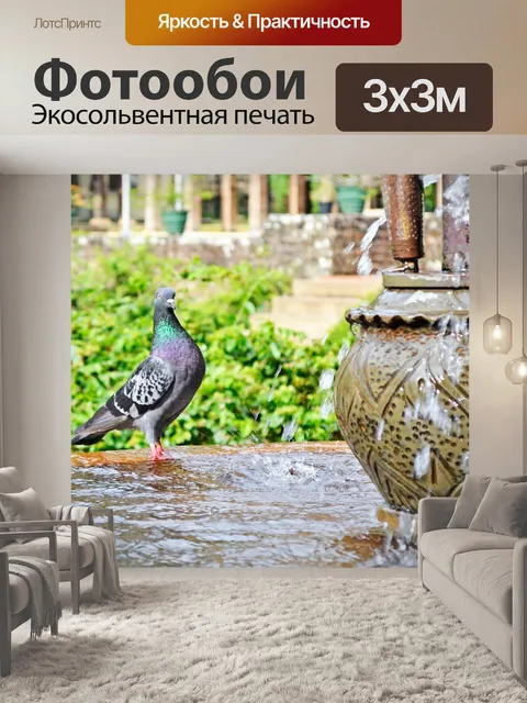 Фотообои Голубь