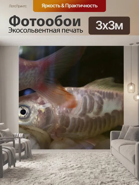 Фотообои Аквариумные рыбки 2