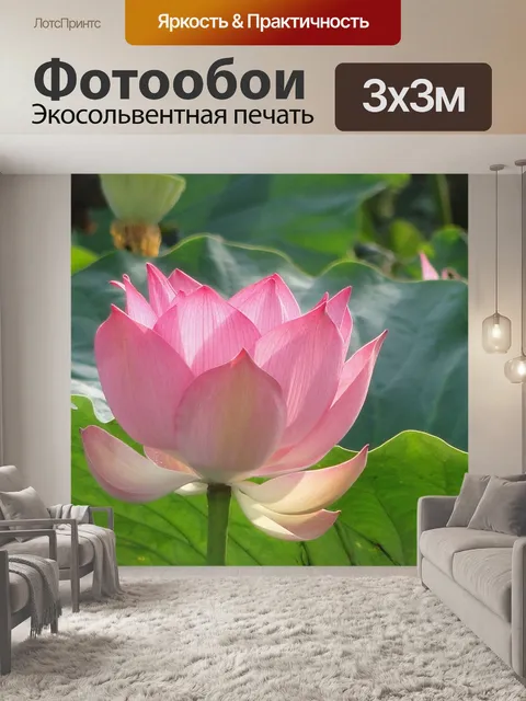 Фотообои Цветок