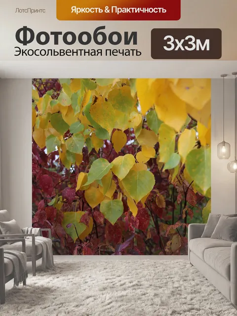 Фотообои Красочные осенние листья