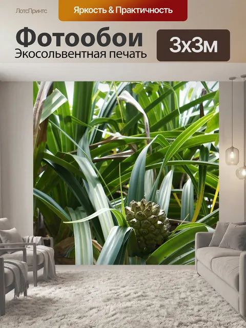 Фотообои Фрукты