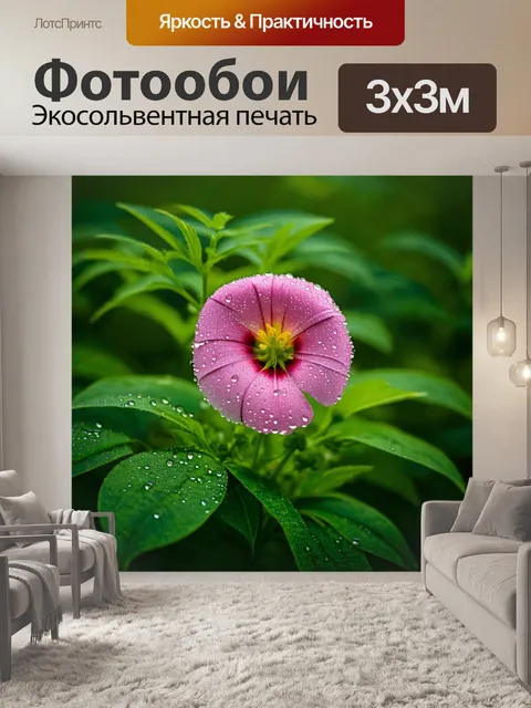 Фотообои цветочек в утреннем свете, покрытый каплями росы, окруженный зелеными листьями
