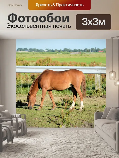 Фотообои Выпас лошадей